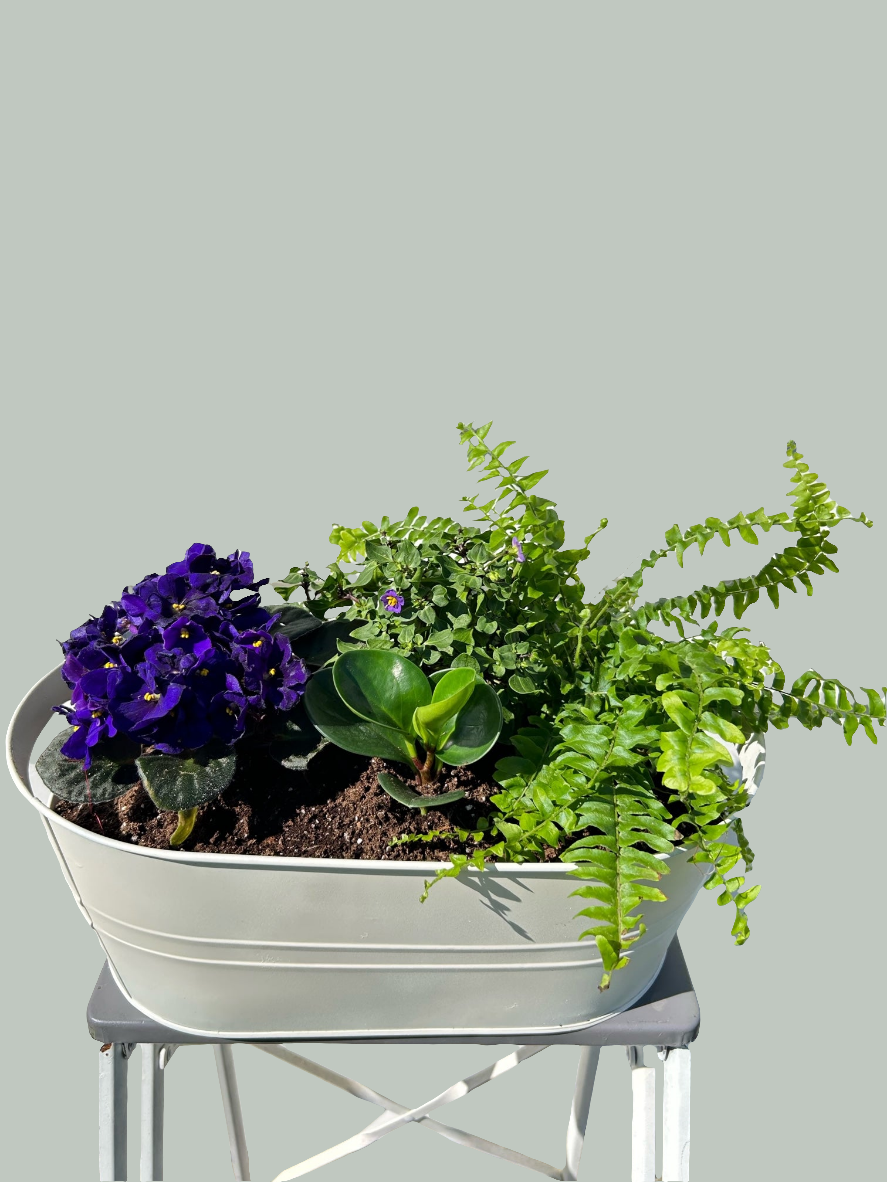White Purple Planter