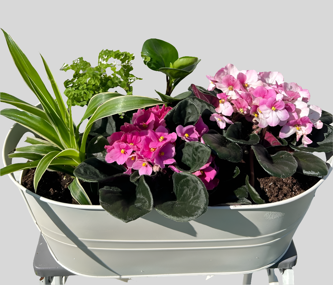 White Pink Planter