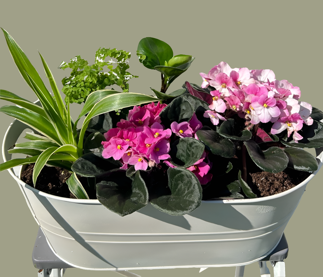White Pink Planter